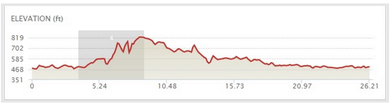 Flying Pig Elevation