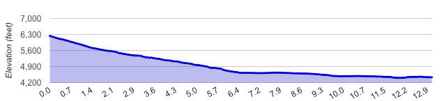 Haunted Half Marathon Elevation Profile