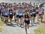 cross country movies