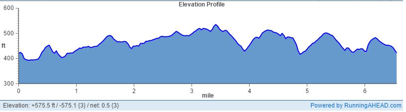 City of Trees Marathon Elevation
